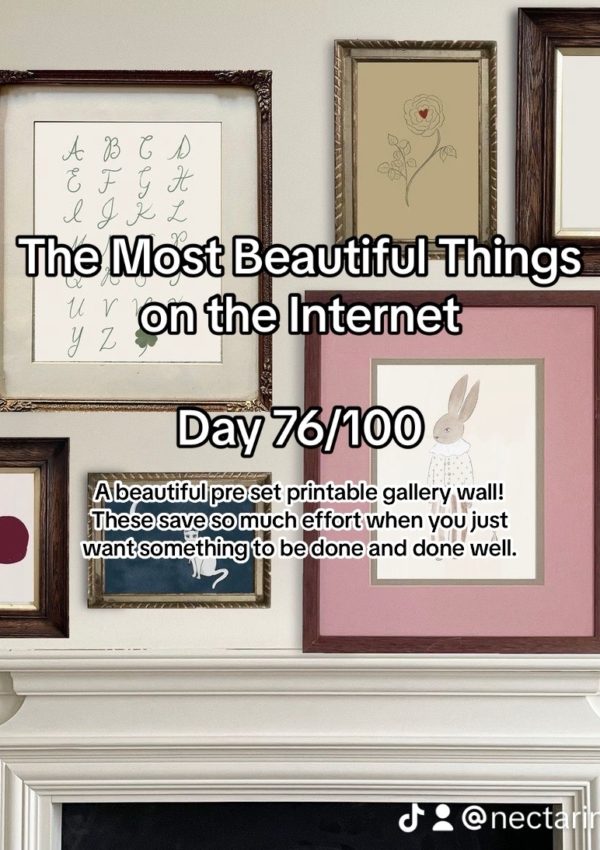 Day 76 – The Most Beautiful Things on the Internet