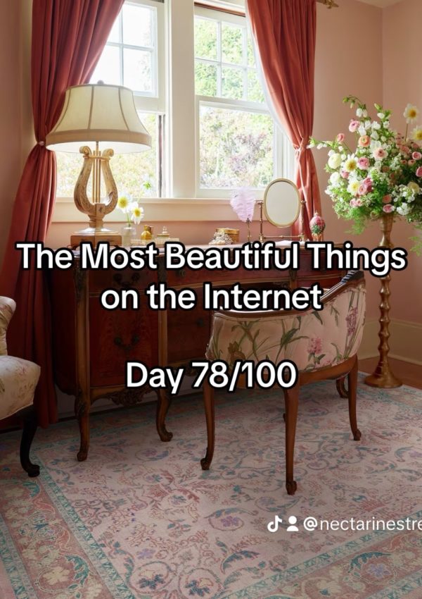 The Most Beautiful Things on the Internet Day 78