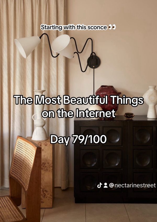 Day 79 – The Most Beautiful Things on the Internet!